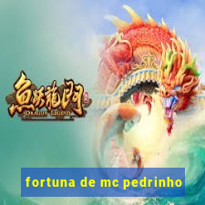 fortuna de mc pedrinho